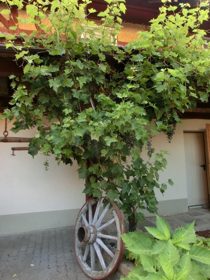 Zehnthof Ξενοδοχείο Geldersheim Εξωτερικό φωτογραφία